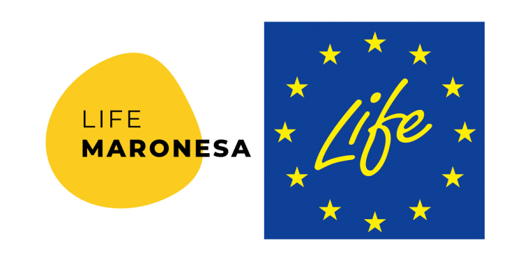 life-maronesa-750x375